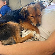 Lola joined the competition — help win amazing prizes! dog, sleeping, person, child, couch, jeans, arm, indoor, relaxing, pet, fur, casual, comfort, pillow, home, rest, closeup, cozy, bond, nap