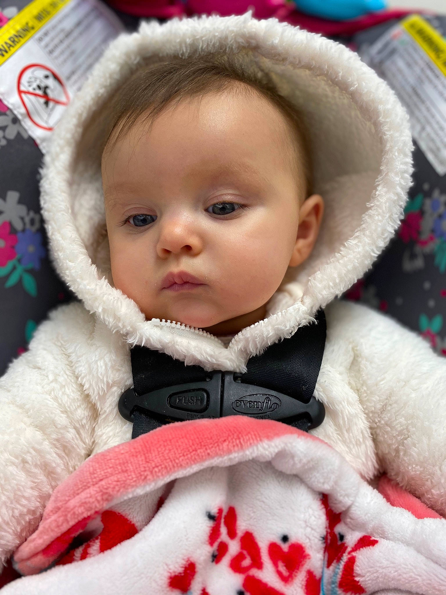 Emmerson joined the competition — help win amazing prizes! baby, baby_in_car_seat, baby_products, cheek, child, fur, head, outerwear, person, pink, skin, textile, toddler, winter, wool