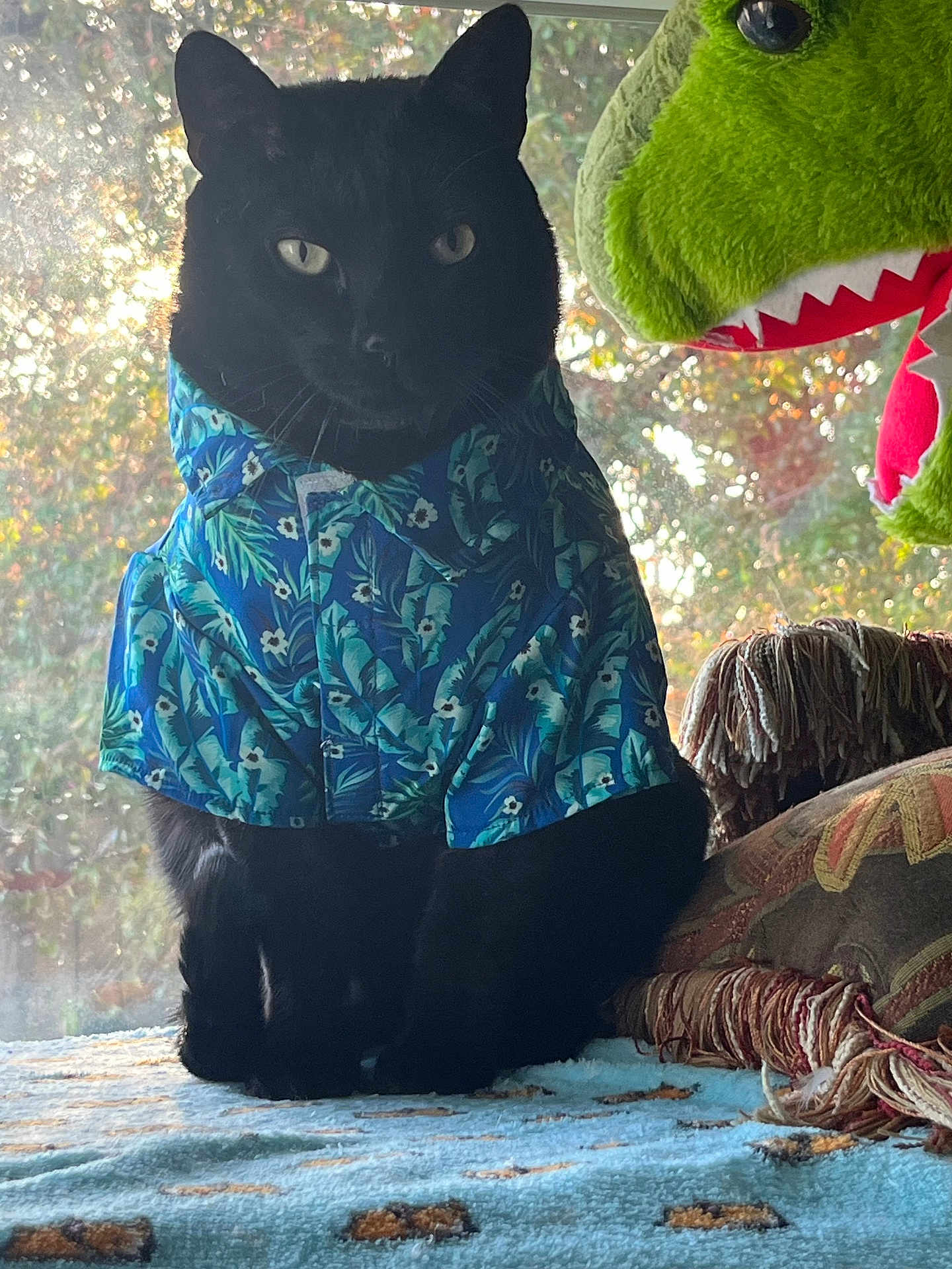 Blackie