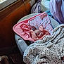 baby, blanket, chair, child, clothing, cozy, cushion, face, indoor, light, orange, pattern, person, pink, rest, room, sleeping, soft, white, window