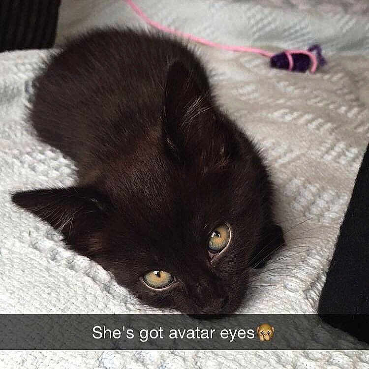 Layla joined the competition — help win amazing prizes!