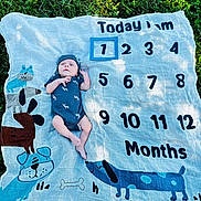 Kingston is registered to the contest to win money with this photo: baby, infant, blanket, milestone_blanket, grass, outdoor, blue_onesie, hat, dog_illustrations, numbers, months, child, newborn, lying_down, cute, portrait, baby_clothing, nature, greenery, small_baby