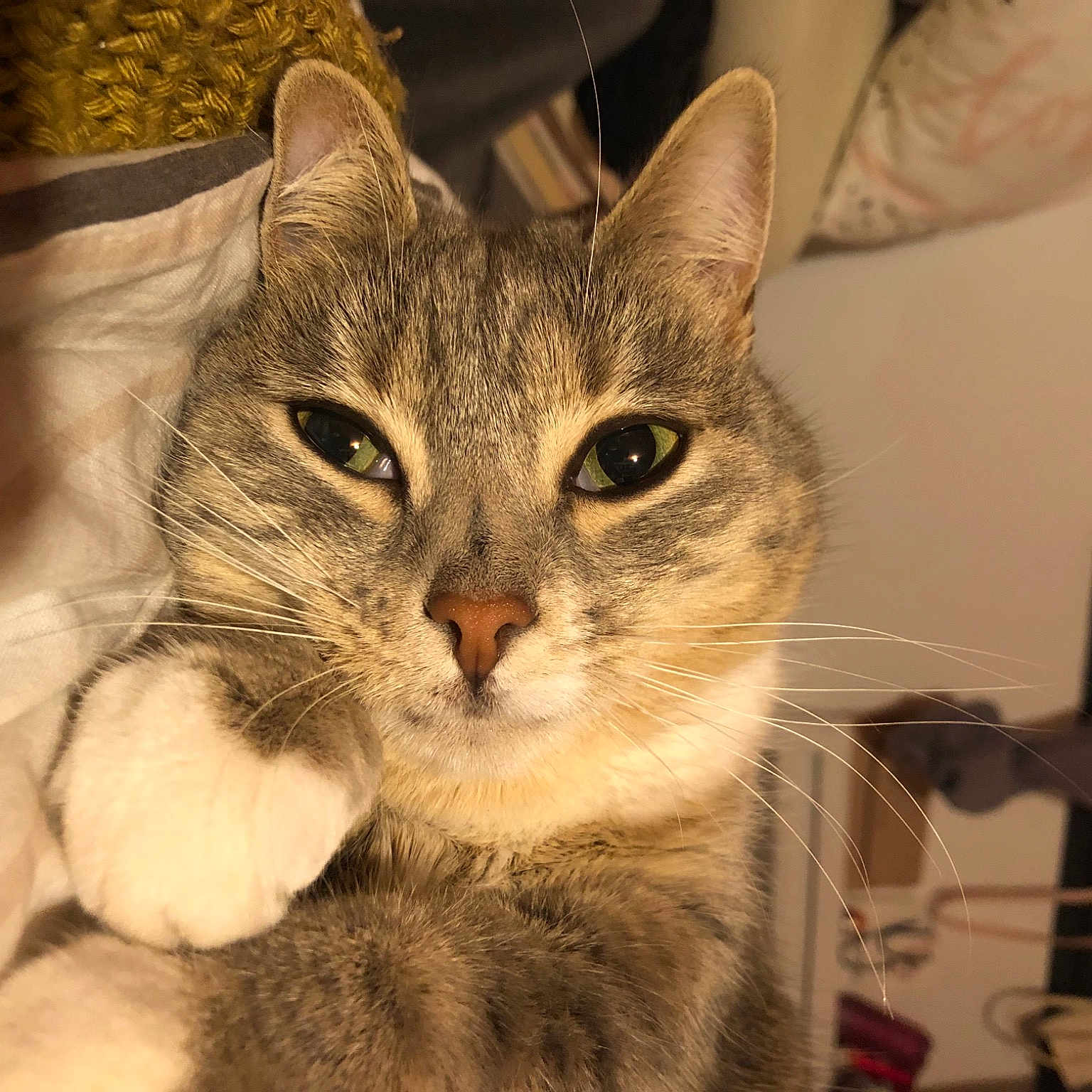 Nina