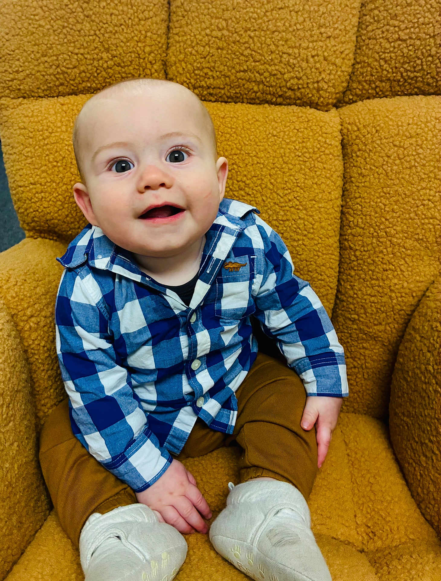 Atlas is registered to the contest to win money with this photo: baby, child, infant, blue_checkered_shirt, mustard_pants, white_booties, smiling, sitting, indoor, cozy_chair, textured_chair, happy, cute, portrait, young_child, looking_up, small_hands, comfortable, casual_clothing, plush_chair
