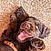 Balou