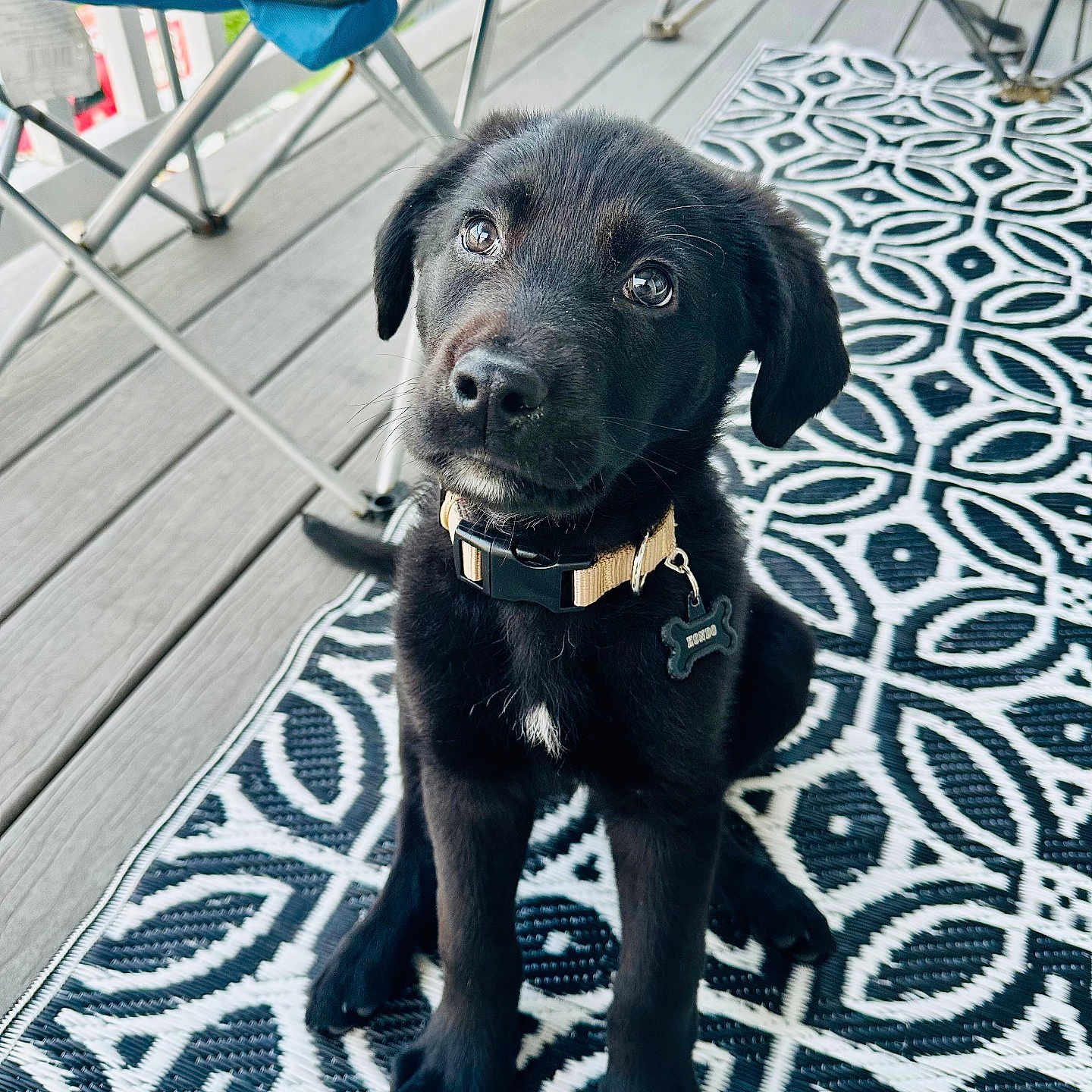 Hondo