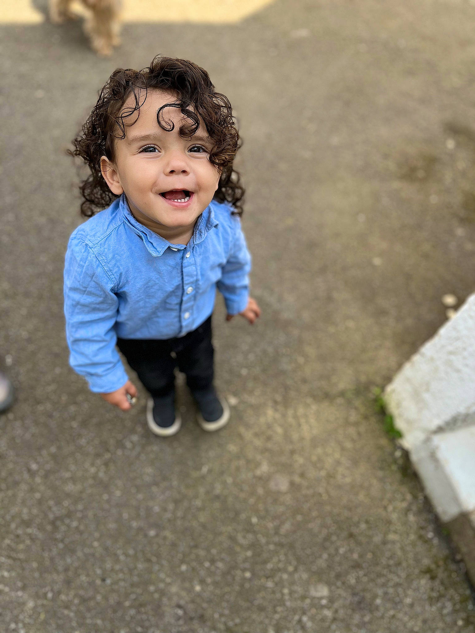 Owen participe au concours pour gagner de l'argent avec cette photo : asphalt, child, concrete, eye, face, flooring, fun, grass, happy, head, leisure, people_in_nature, person, play, recreation, road_surface, sitting, skin, soil, street