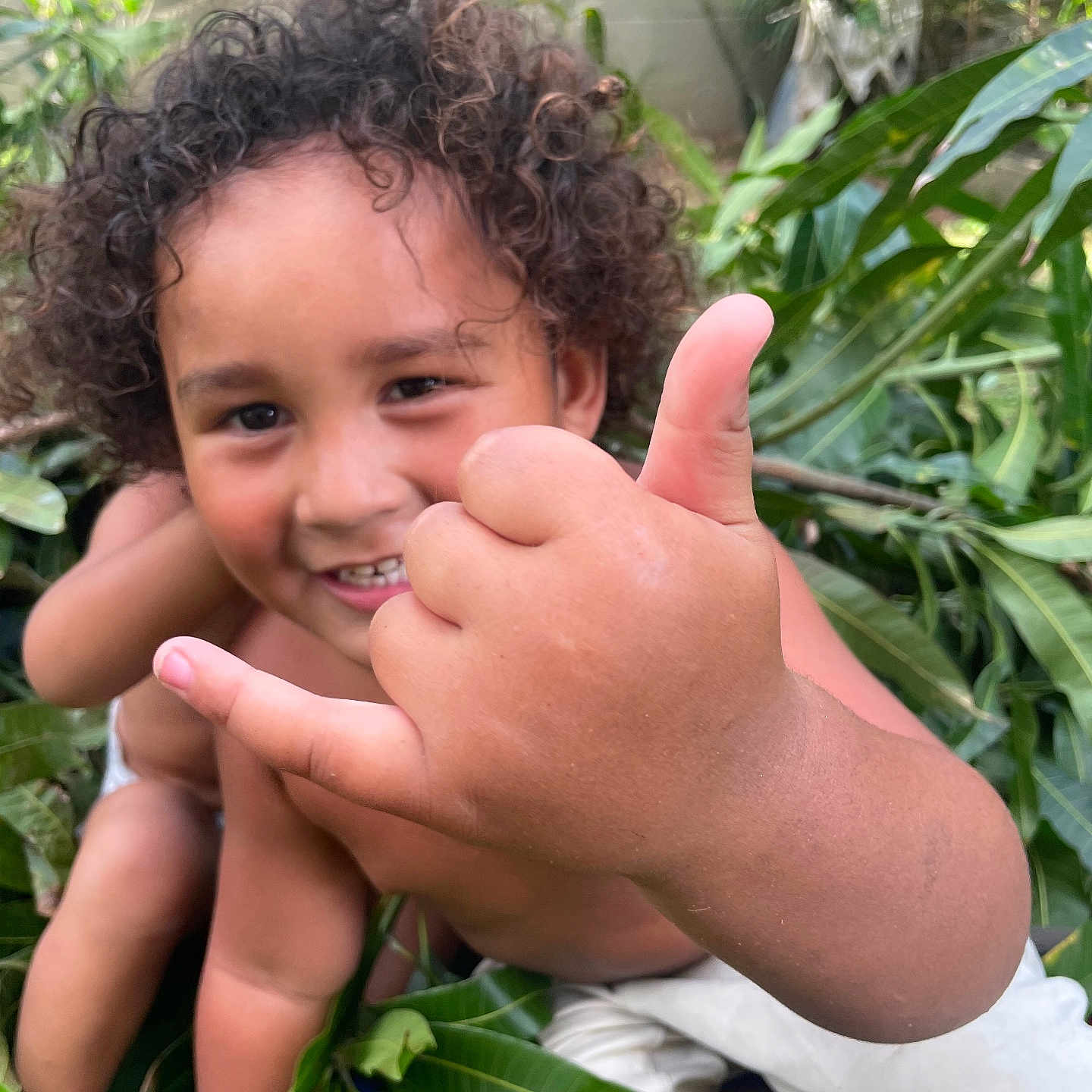 Isaac Mokihana is registered to the contest to win money with this photo: bare_chest, child, closeup, curly_hair, gesture, grass, greenery, hand, happy, leaves, nature, outdoor, person, playful, shaka_sign, skin, smile, sunlight, toddler, tree