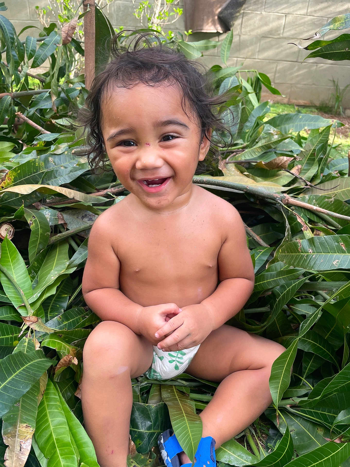 Izeyah Masson joined the competition — help win amazing prizes! toddler, child, smiling, happy, outdoor, nature, greenery, leaves, bare_chest, diaper, sitting, cute, playful, young_child, portrait, sunlight, feet, hair, skin, baby