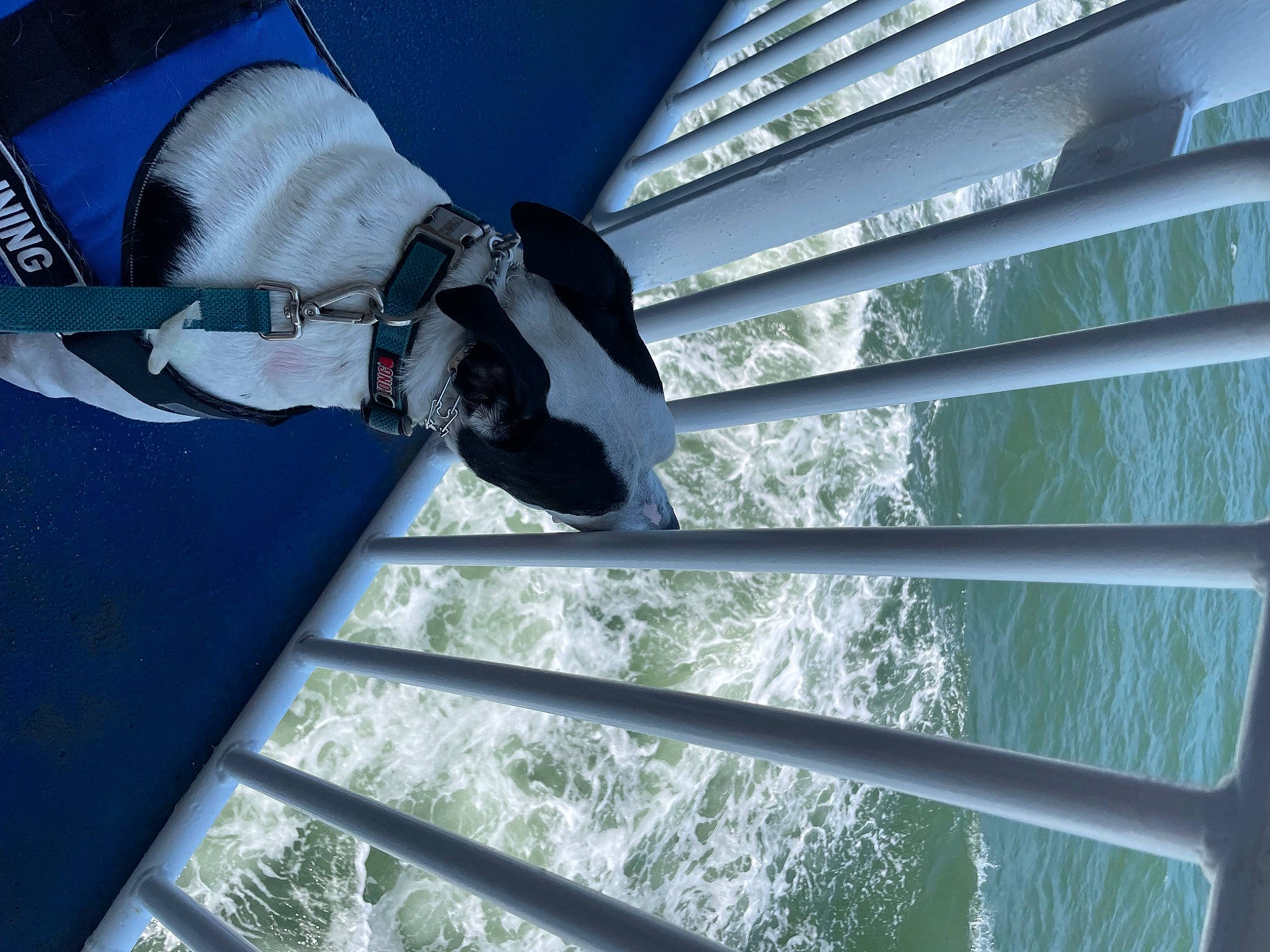 Pearl is registered to the contest to win money with this photo: aluminium, carmine, daylighting, electric_blue, glass, material_property, metal, reflection, shade, shadow, stairs, steel, textile, tints_and_shades, transparent_material, walking_shoe, water, window_covering, window_treatment, winter