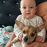 Christopher is registered to the contest to win money with this photo: baby, bed, blanket, child, comfort, cozy, curious, cute, dog, ears, face, hands, headboard, holding, indoor, person, pet, sitting, small_dog, toy