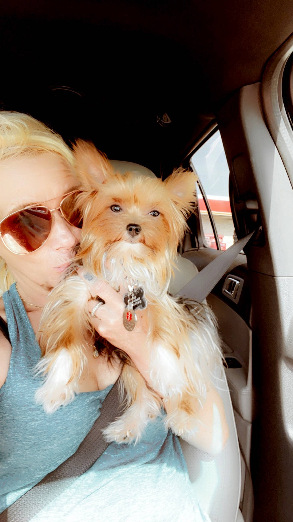 Koko joined the competition — help win amazing prizes! beard, blond, brown_hair, car_seat_cover, carnivore, companion_dog, dog, dog_breed, dog_collar, eyewear, fawn, fur, glasses, goggles, happy, long_hair, sporting_group, sunglasses, toy_dog, vision_care