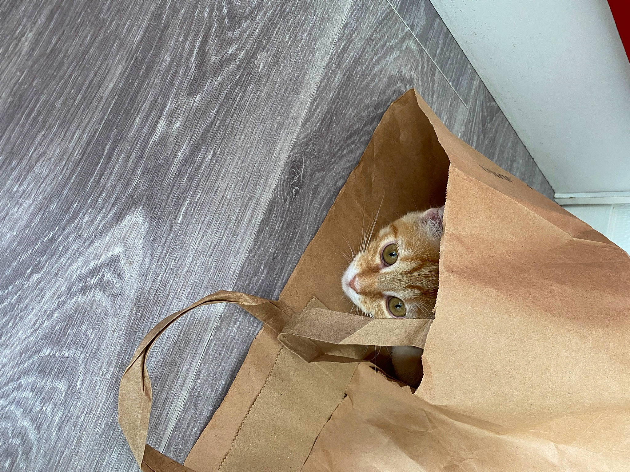 Tigresse participe au concours pour gagner de l'argent avec cette photo : art, beige, craft, creative_arts, fawn, linens, paper, paper_product, visual_arts, wood