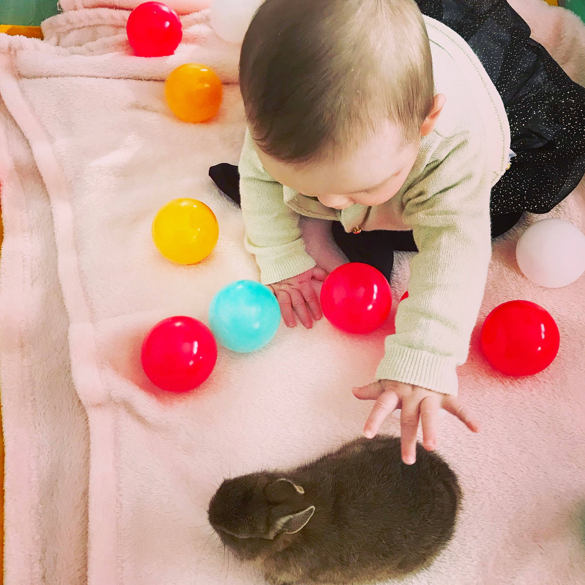 Berri participe au concours pour gagner de l'argent avec cette photo : baby_playing_with_toys, baby_toys, child, play, toddler