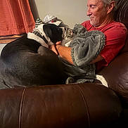 Harley joined the competition — help win amazing prizes! man, adult, dog, cat, pet, animal, cuddling, sofa, leather, blanket, indoor, living_room, red_shirt, gray_blanket, black_and_white_dog, tabby_cat, relaxed, smiling, portrait, cozy