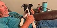 Bourbon is registered to the contest to win money with this photo: man, puppy, dog, couch, leather, blue_shirt, jeans, phone, charging_cable, table, tumbler, soda_bottle, indoor, relaxed, holding, pet, brown, black_and_white, casual, living_room