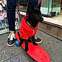 Snow participe au concours pour gagner de l'argent avec cette photo :