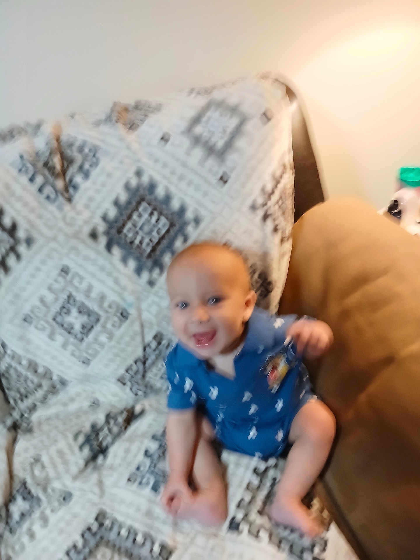 Zander