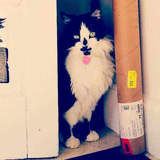 Baby