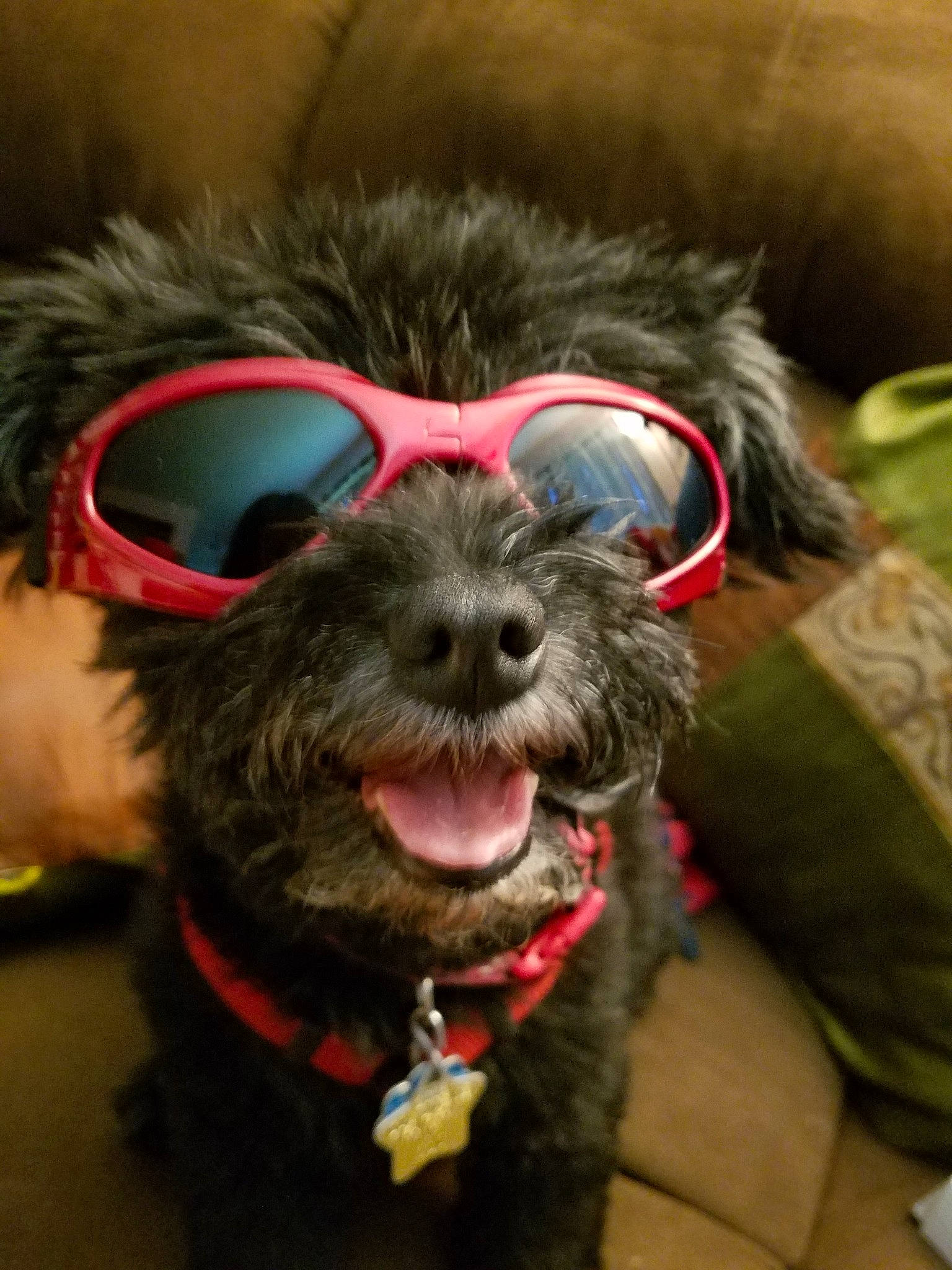 Bailey