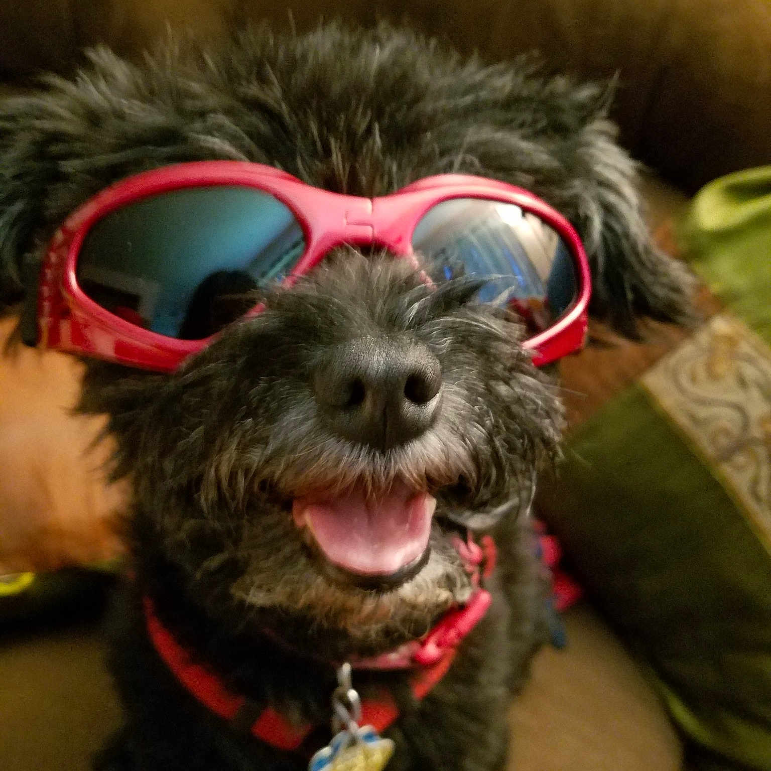 Bailey