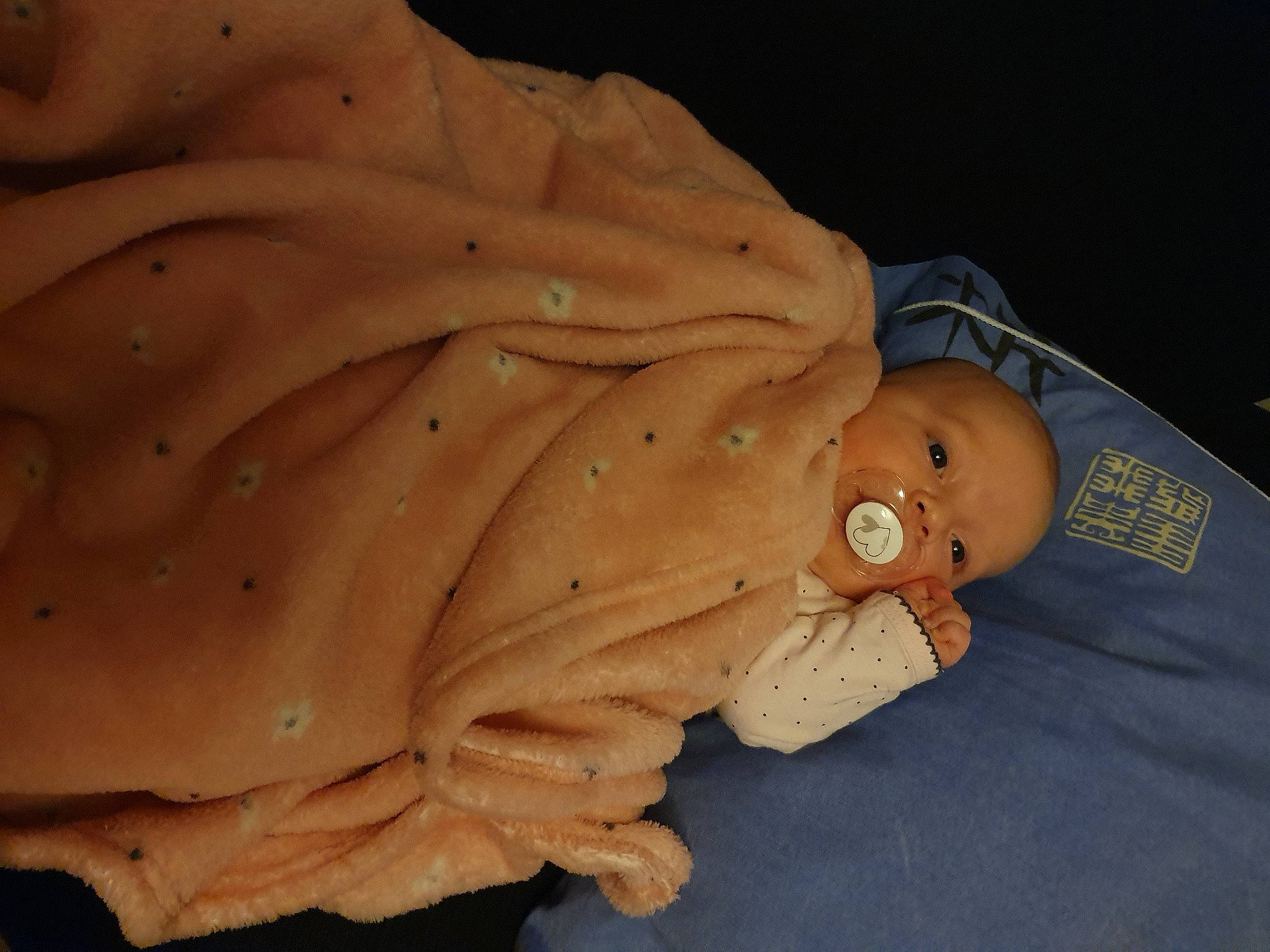 Anaëlle participe au concours pour gagner de l'argent avec cette photo : person