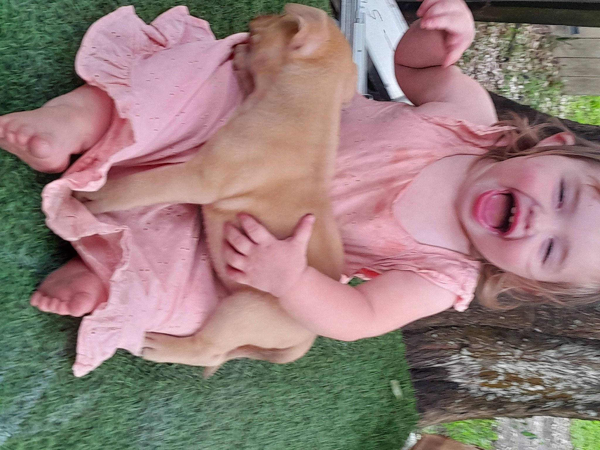 Olivia is registered to the contest to win money with this photo: baby_products, baby_toddler_clothing, child, dress, fawn, flesh, fun, fur, gesture, grass, happy, lap, leisure, peach, person, pink, plant, sitting, smile, tree