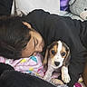 Stormy Whiskey joined the competition — help win amazing prizes! person, dog, puppy, beagle, blanket, teddy_bear, couch, face, nose_piercing, black_clothing, indoor, resting, cute, pet, companion, fur, sleepy, head, close_up, comfort