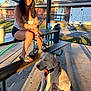 woman, dog, leash, picnic_table, outdoor, sunglasses, bench, concrete_floor, shadow, brick_building, fence, grass, tree, casual_clothing, shorts, tank_top, summer, daylight, pet, animal