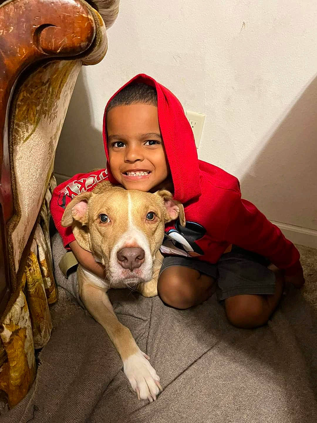 Yogi is registered to the contest to win money with this photo: canidae, carnivore, child, comfort, companion_dog, dog, dog_breed, dog_supply, fawn, fun, fur, happy, non_sporting_group, paw, sitting, smile, snout, sporting_group, toddler, working_animal