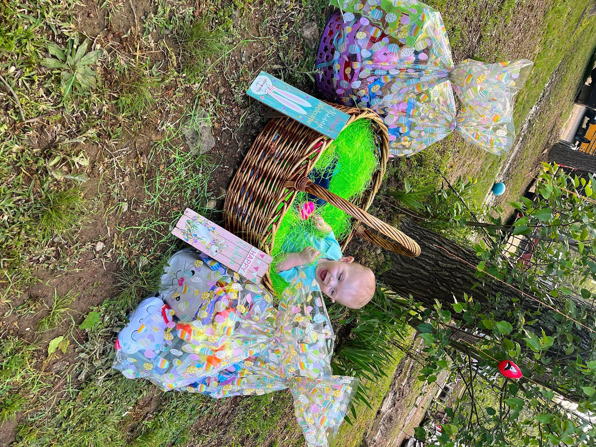 Bentley is registered to the contest to win money with this photo: art, botany, garden, grass, grass_family, groundcover, leisure, outdoor_furniture, paint, pattern, people_in_nature, person, plant, plastic, soil, spring, toddler, urban_design, vegetation, visual_arts