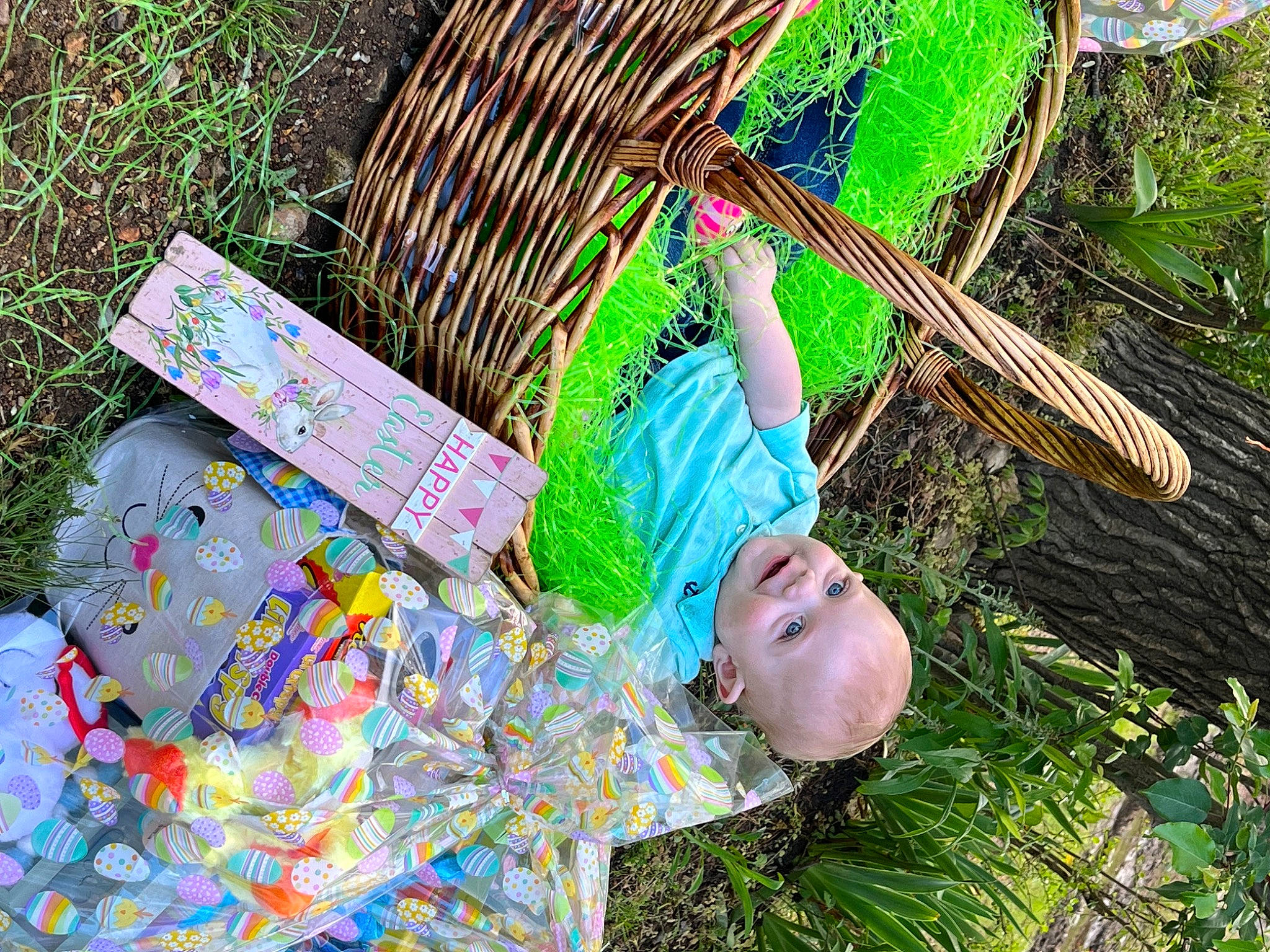Bentley joined the competition — help win amazing prizes! adaptation, baby_toddler_clothing, child, fun, garden, grass, grass_family, green, groundcover, happy, hat, landscape, leaf, leisure, people_in_nature, person, plant, sitting, terrestrial_plant, toddler