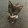 Binx