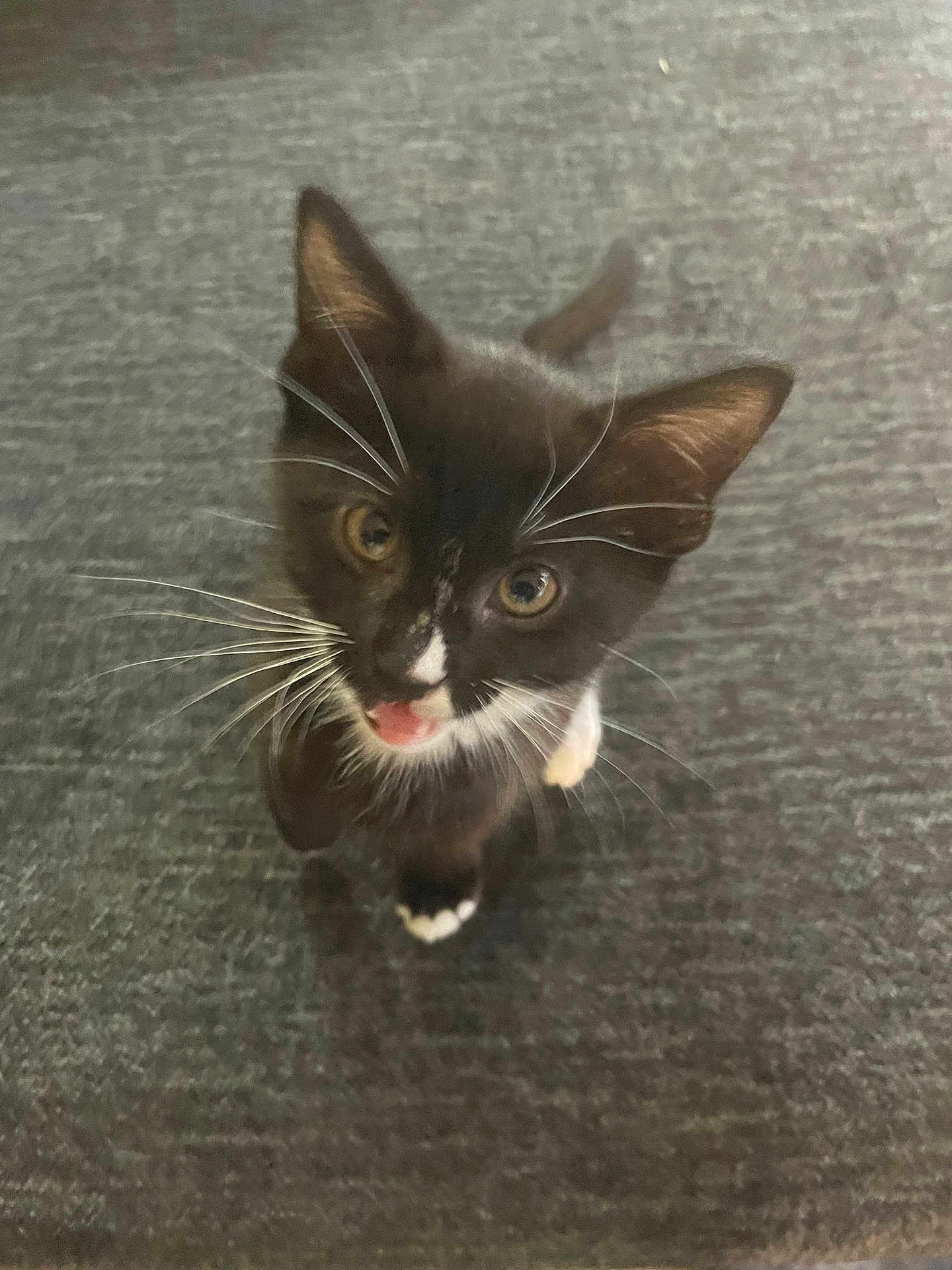 Binx
