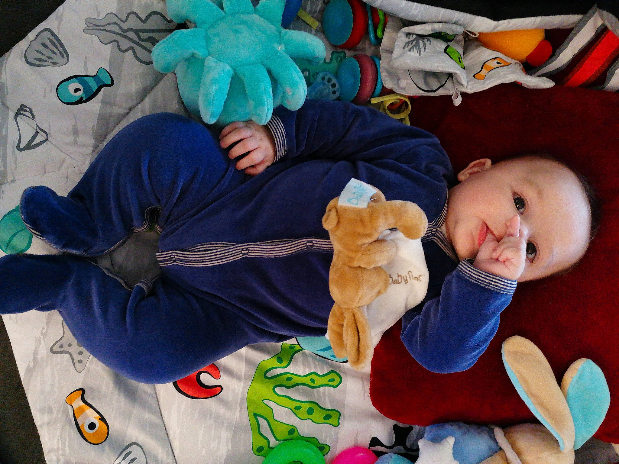 Rudy participe au concours pour gagner de l'argent avec cette photo : arm, azure, baby, baby_toddler_clothing, blue, child, comfort, finger, hand, head, headgear, human_body, lap, leg, linens, person, stuffed_toy, textile, toddler, toy