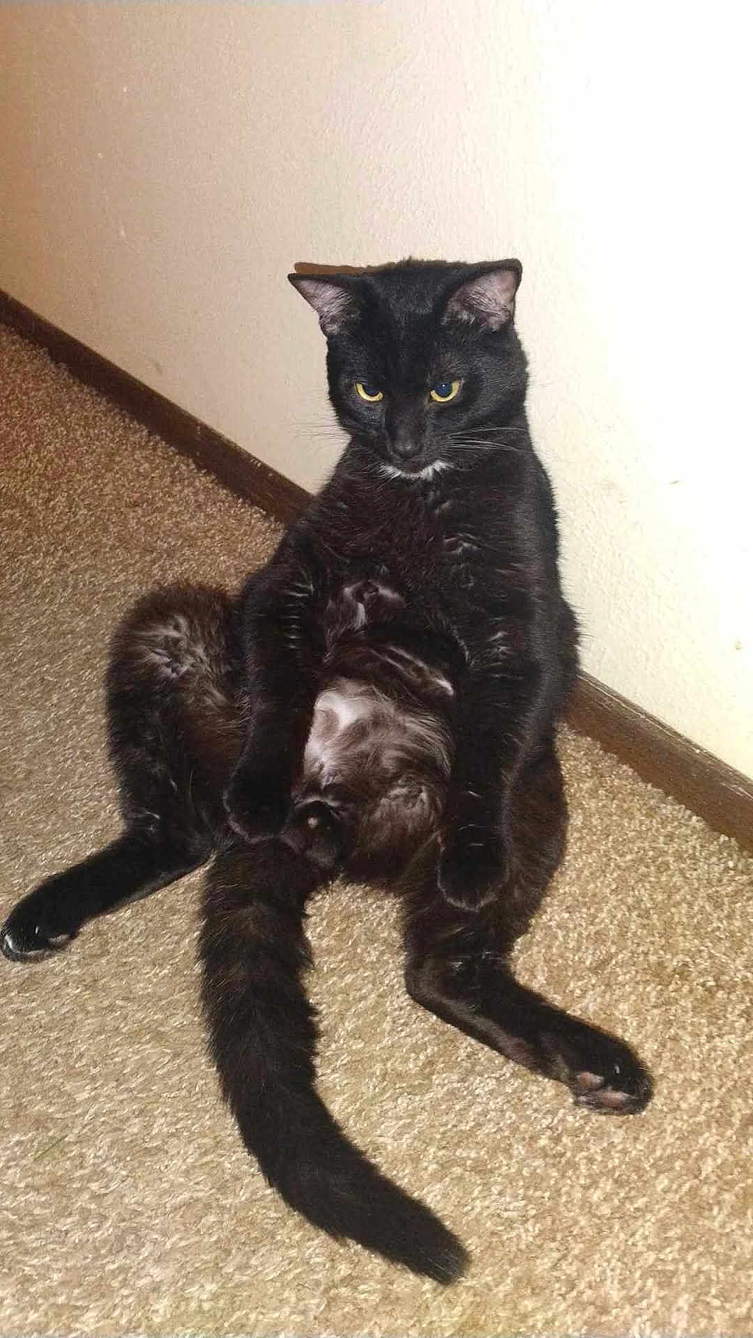 Oliver