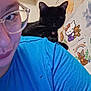 person, glasses, blue_shirt, black_cat, cat, shoulder, indoor, wall_art, hello_kitty, drawing, rainbow, teddy_bear, cute, pet, portrait, closeup, whiskers, feline, head, eyewear
