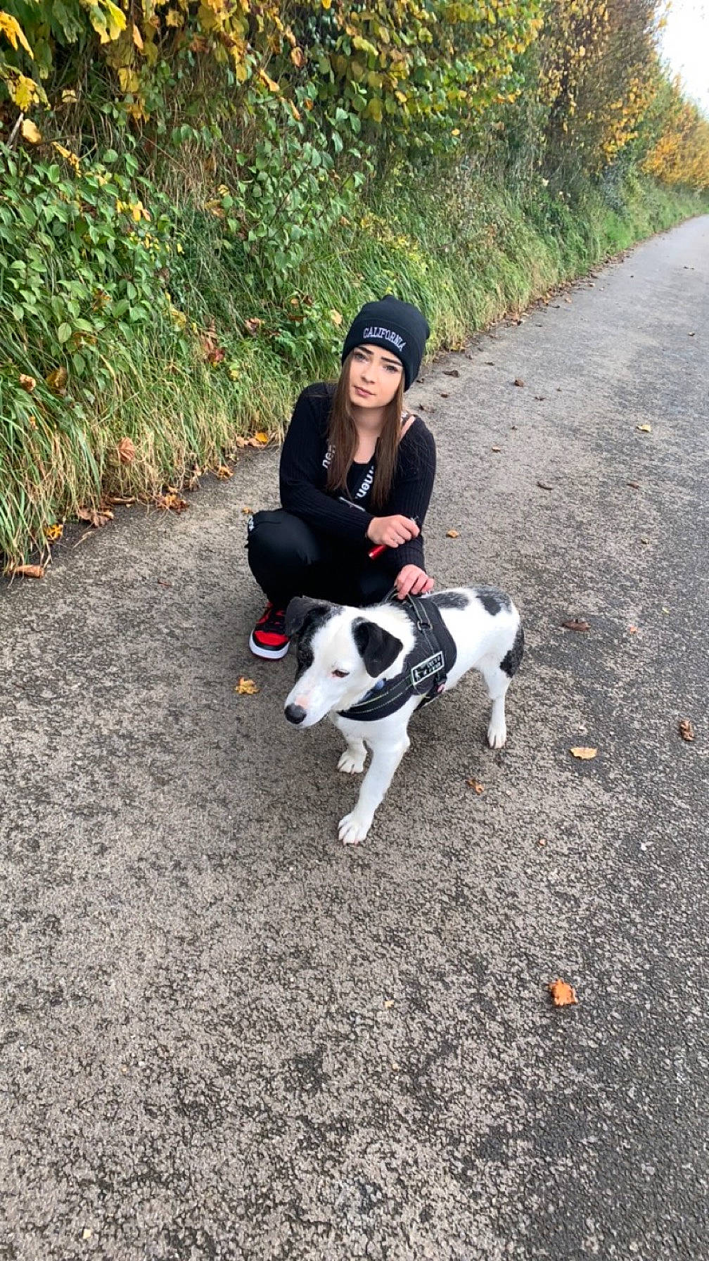 Lucky participe au concours pour gagner de l'argent avec cette photo : asphalt, canidae, carnivore, chair, companion_dog, dog, dog_breed, fashion_accessory, fawn, grass, leash, leisure, plant, road_surface, sidewalk, sitting, soil, sporting_group, tail, tree