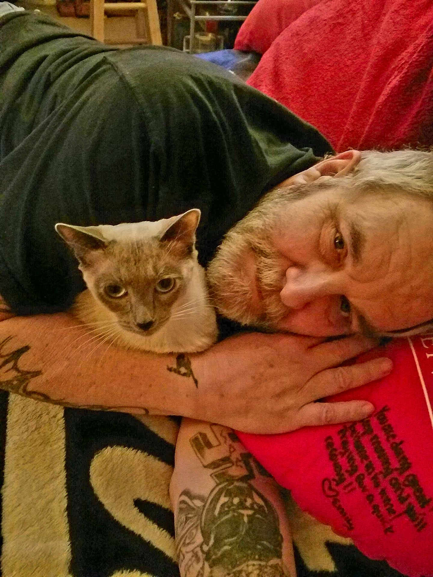 Bellevue joined the competition — help win amazing prizes! man, cat, tattoo, beard, lying_down, indoor, pillow, blanket, close_up, relaxed, pet, animal, human, face, resting, arm, black_shirt, red, fur, companion