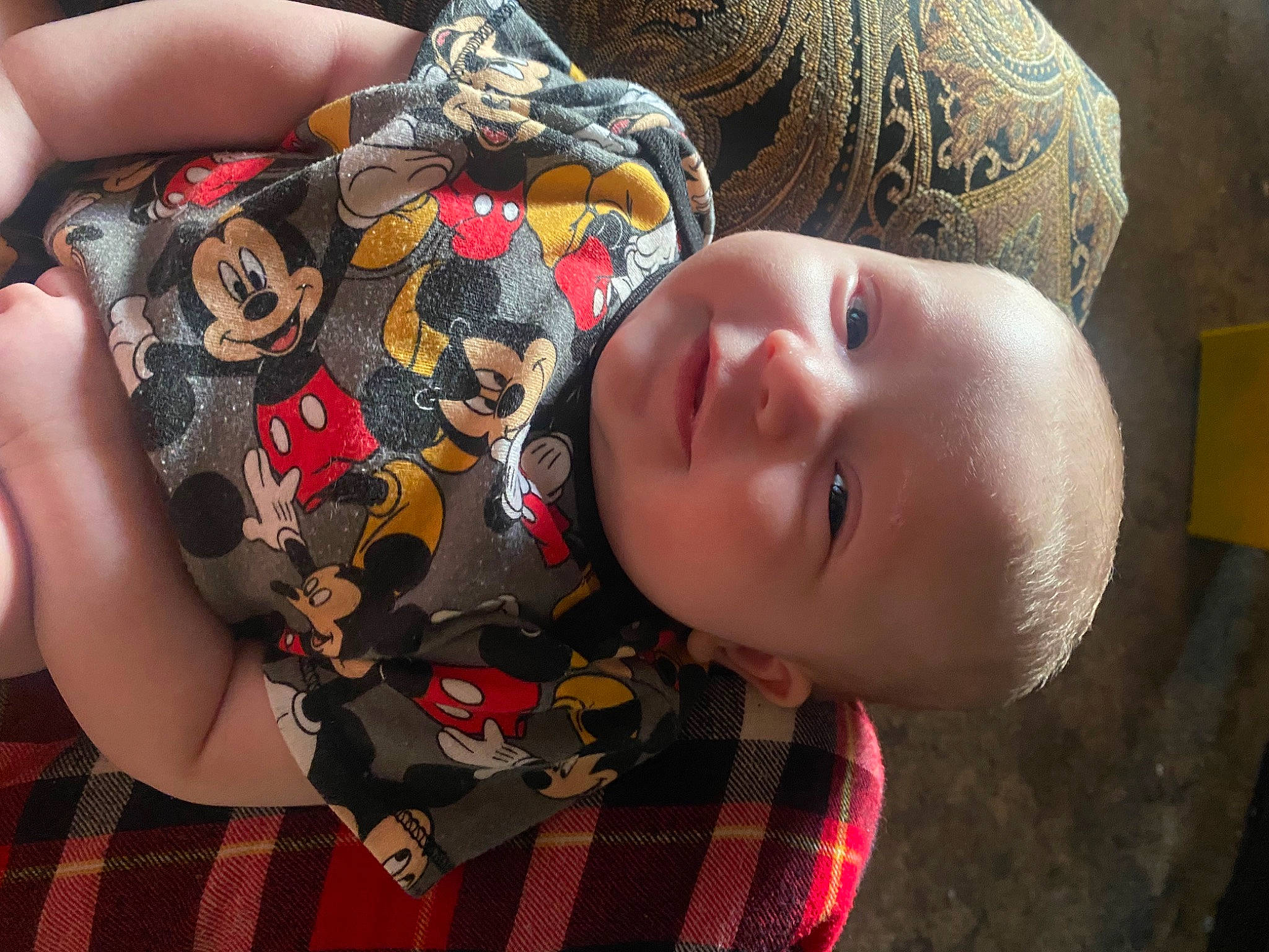 Josiah is registered to the contest to win money with this photo: baby, baby_toddler_clothing, cheek, chest, child, face, flesh, grass, human_leg, linens, nose, pattern, person, plaid, portrait_photography, skin, tartan, textile, toddler, tree