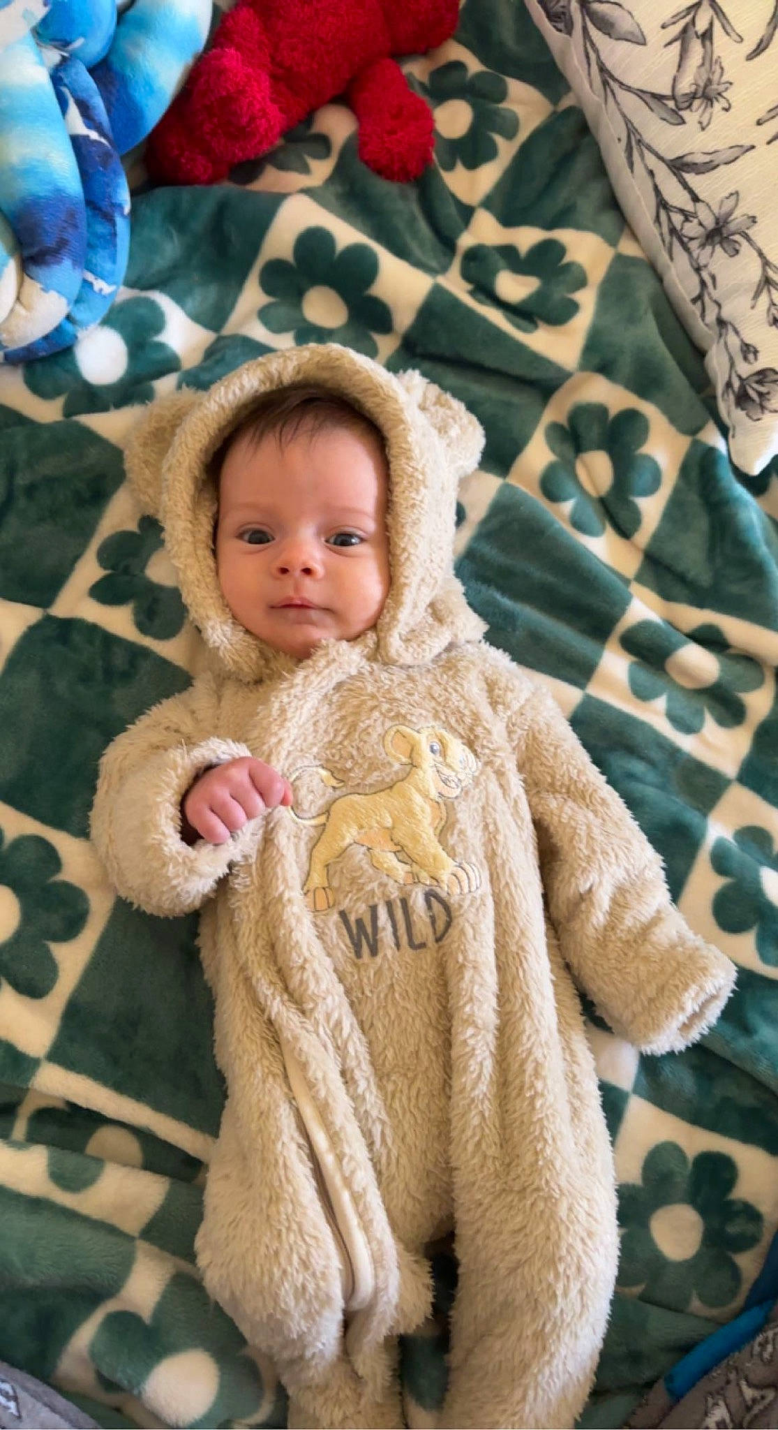 Aria is registered to the contest to win money with this photo: baby, baby_toddler_clothing, cheek, clothing, dress, eye, face, fawn, happy, head, human_body, iris, linens, outerwear, pattern, person, skin, sleeve, textile, toddler