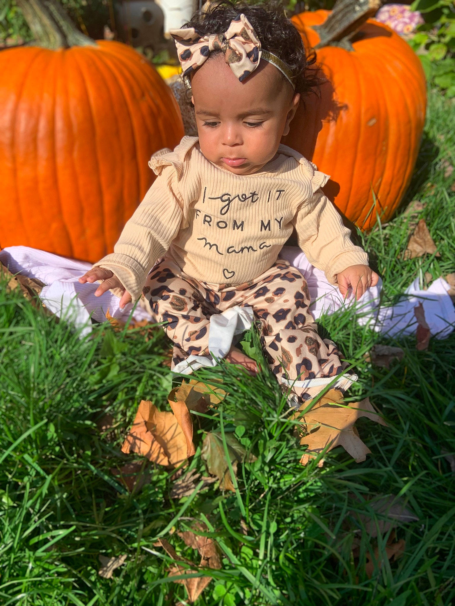 Elena joined the competition — help win amazing prizes! baby_toddler_clothing, botany, calabaza, cucurbita, eye, face, gourd, grass, happy, head, headwear, iris, leaf, natural_foods, orange, organ, people_in_nature, person, plant, pumpkin
