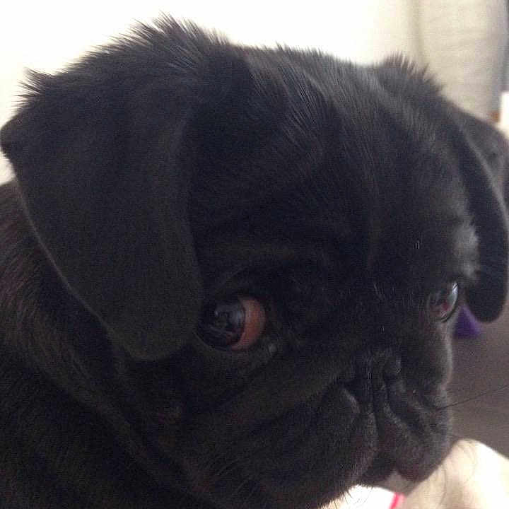 Jack
