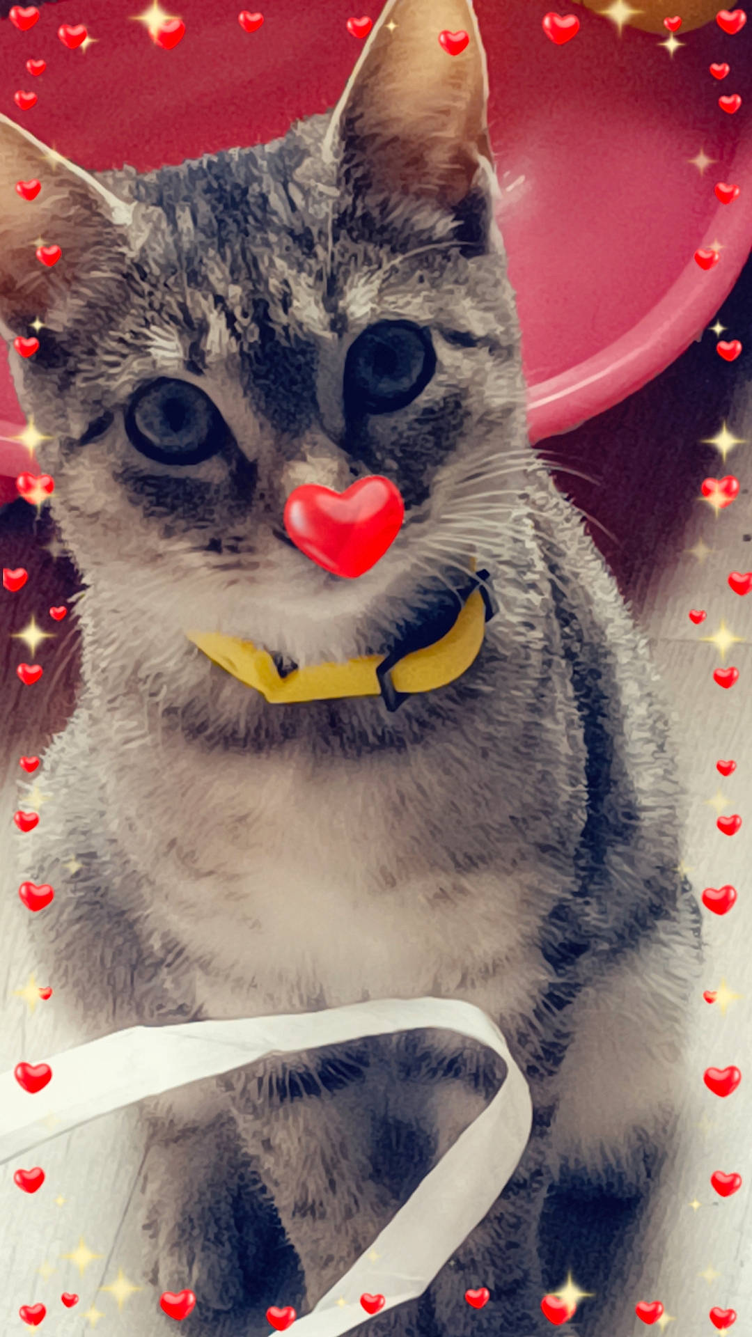 Gigi a rejoint le concours — aidez-le/la à gagner de superbes lots ! art, carmine, carnivore, cat, domestic_short_haired_cat, felidae, fur, grey, illustration, moustache, paw, photo_caption, small_to_medium_sized_cats, snout, square, tail, whiskers, window