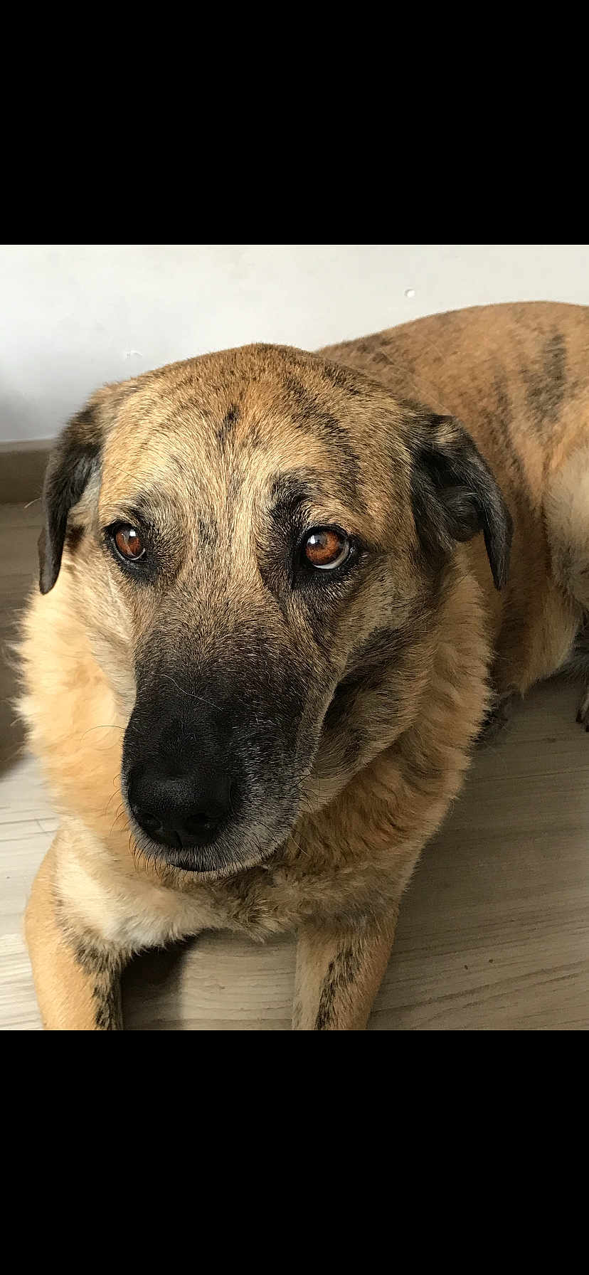 Alma