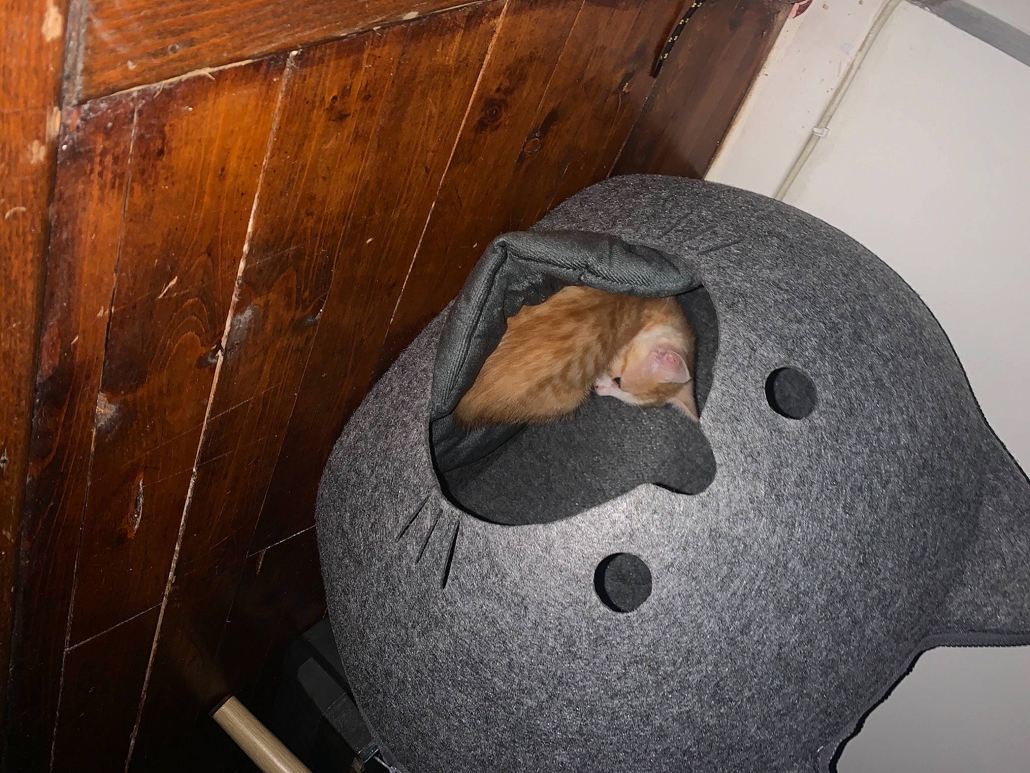 Gaston participe au concours pour gagner de l'argent avec cette photo : art, artifact, automotive_wheel_system, carmine, circle, comfort, flooring, hardwood, hat, helmet, metal, personal_protective_equipment, plywood, room, sculpture, stuffed_toy, toy, varnish, wood, wood_stain