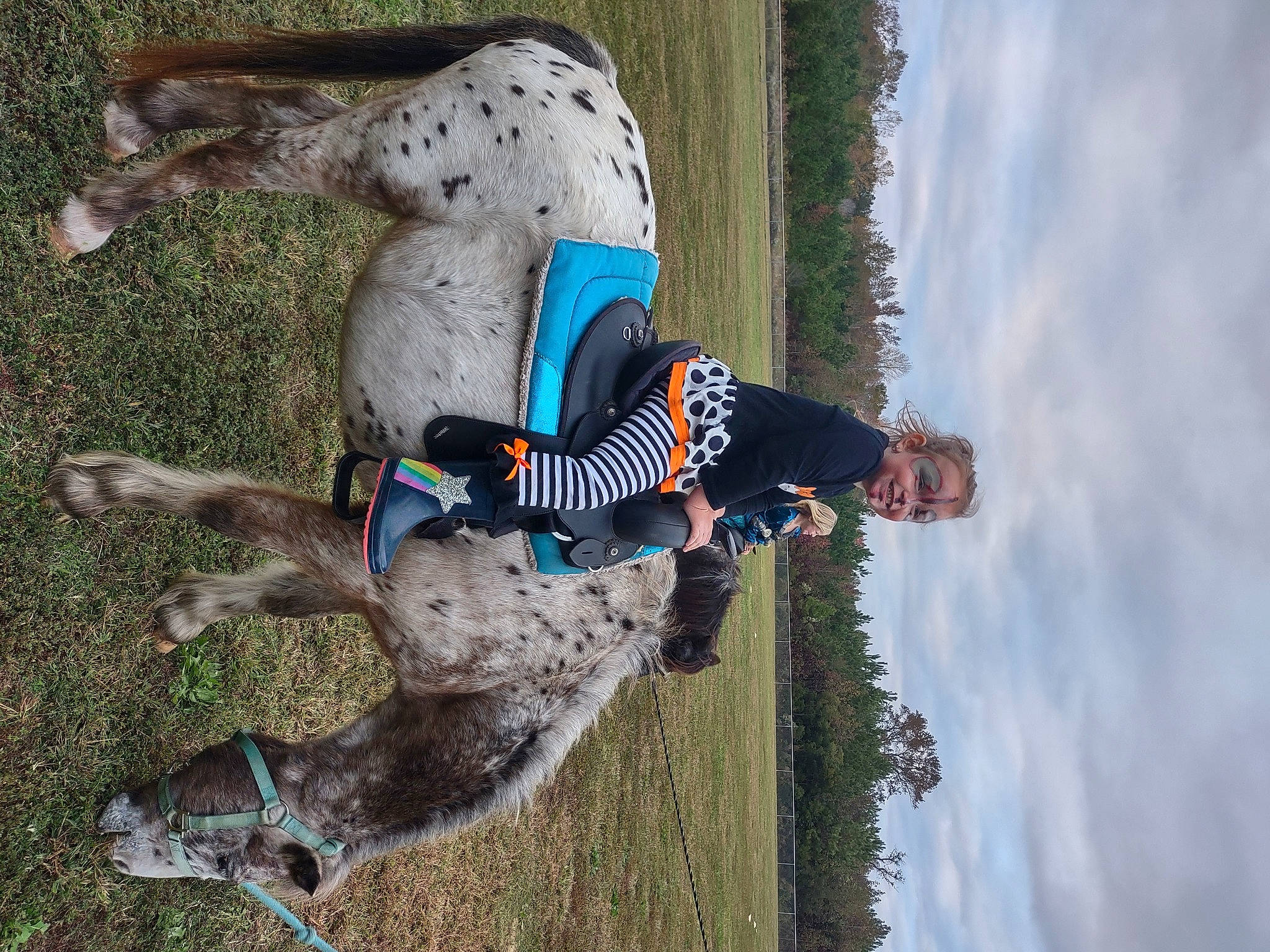 Sophia Waiting For Daddy is registered to the contest to win money with this photo: adventure, canidae, carnivore, cloud, companion_dog, dog, dog_breed, dog_hiking, fun, grass, joy, leash, leisure, people_in_nature, person, plant, recreation, sky, soil, sporting_group