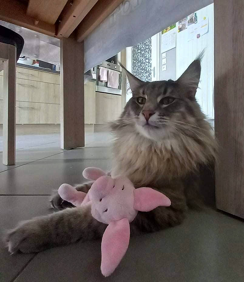 Ramone De La Pomponnette