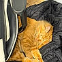 cat, orange_cat, sleeping, puffer_jacket, black_jacket, chair, furniture, indoor, cozy, pet, animal, fur, paw, relaxation, resting, cute, fluffy, domestic_cat, warm, comfort