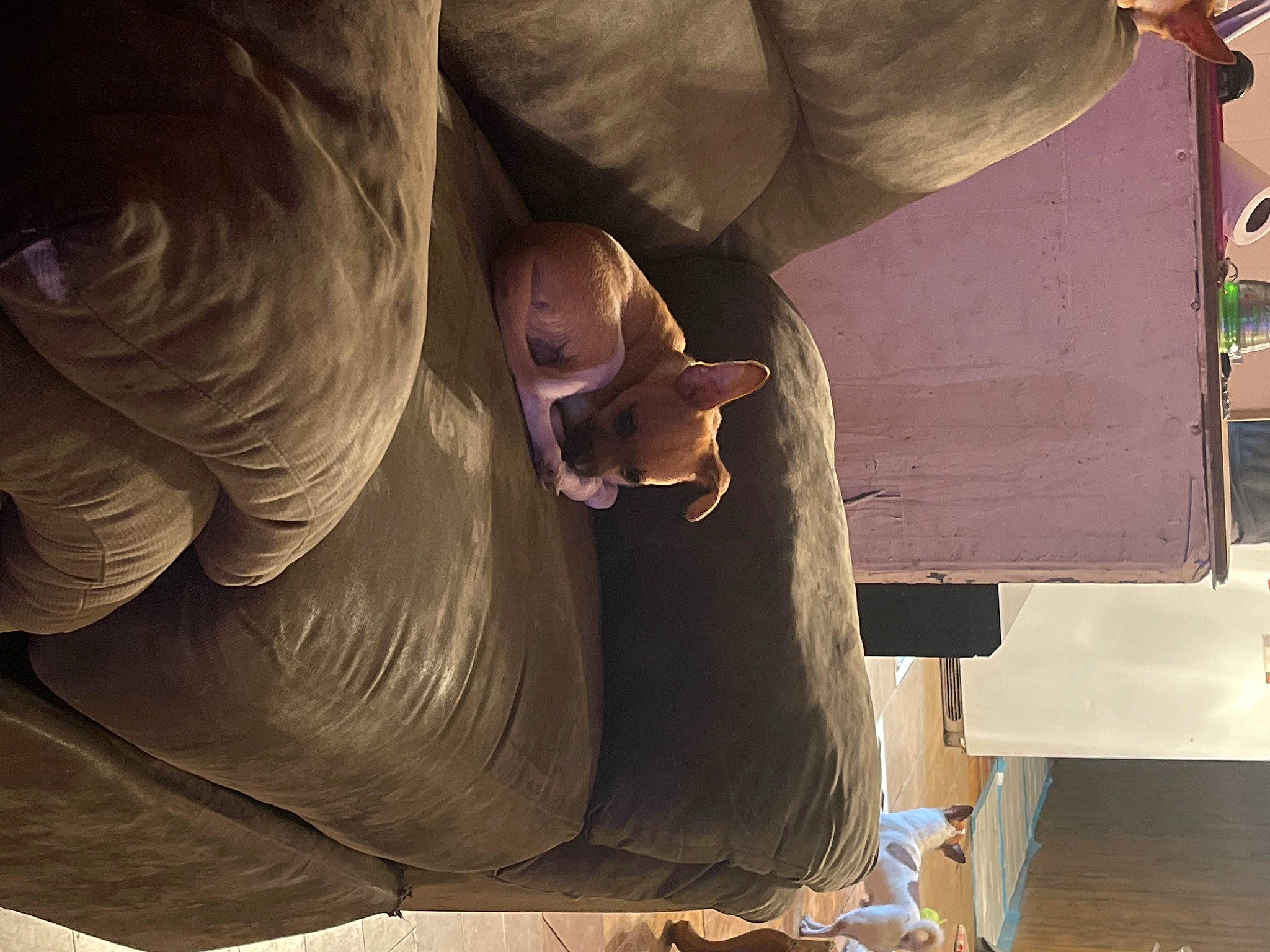 Scooby joined the competition — help win amazing prizes! art, bronze, carving, classical_sculpture, fountain, helmet, metal, monument, personal_protective_equipment, rock, room, sculpture, statue, tints_and_shades, visual_arts, wing, wood